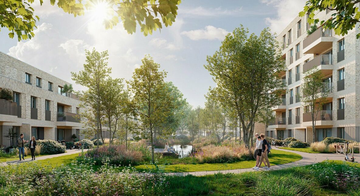 De Dreve in Beveren-Kruibeke-Zwijndrecht